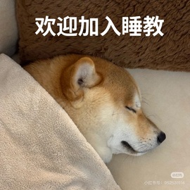 倾城🌸跳舞最哇塞主播照片