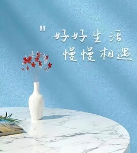 小圆宝大财迷的图片
