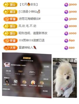 禾薇~九月加油的图片