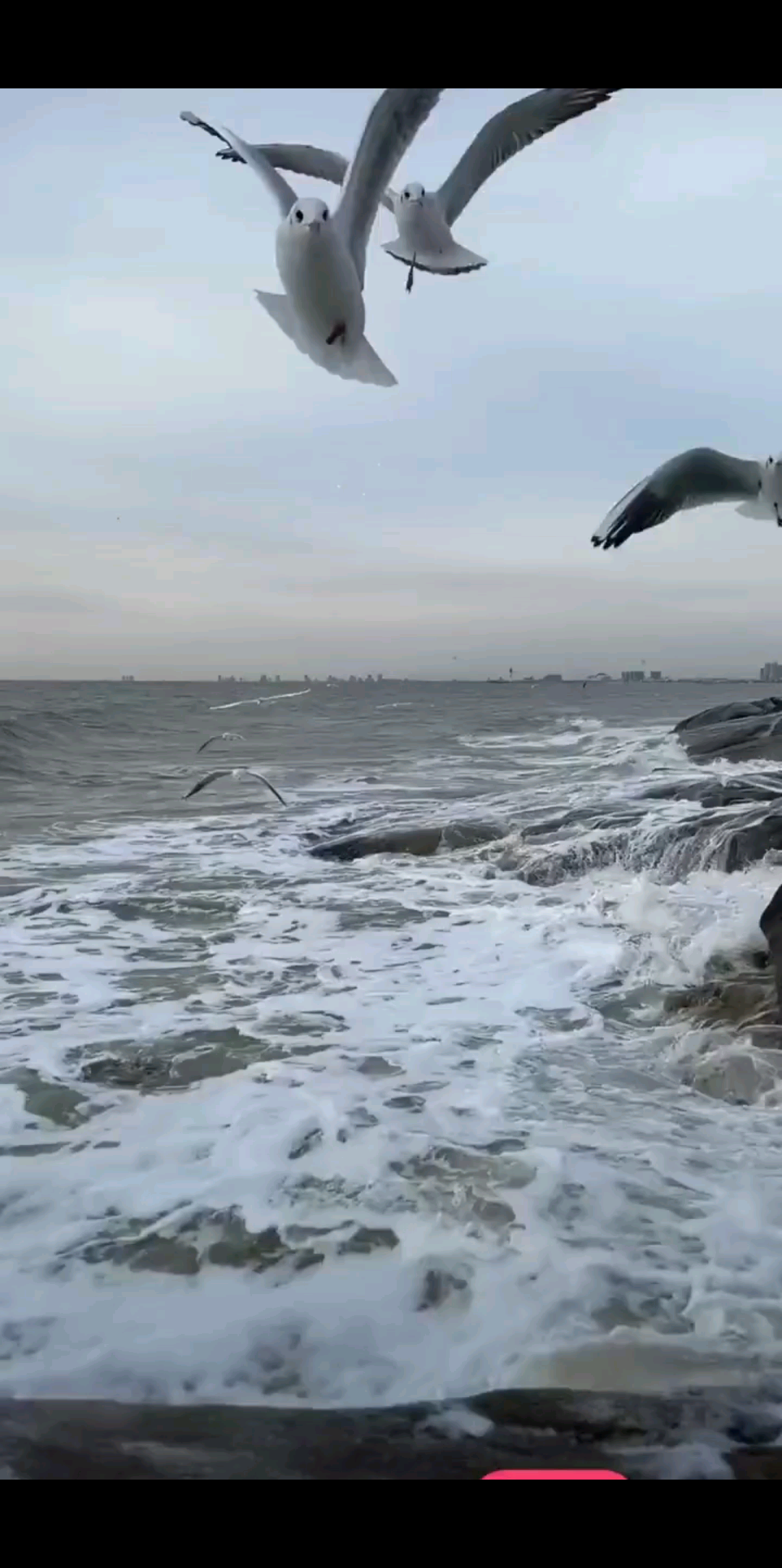 听海的声音