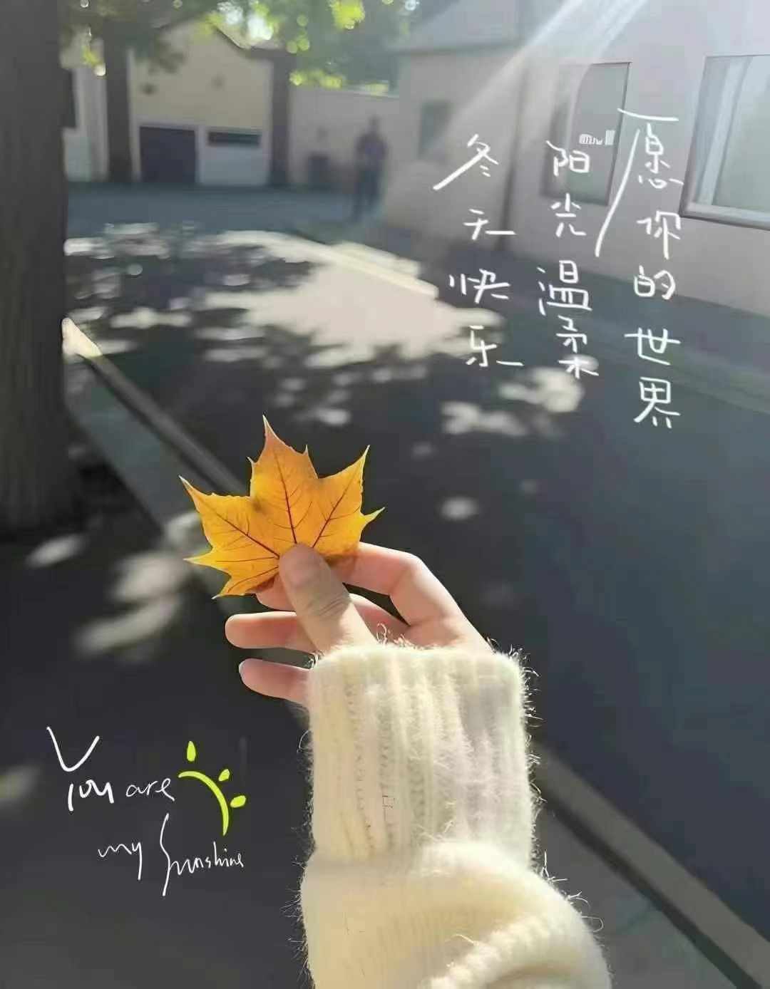瞳瞳晚上播的图片