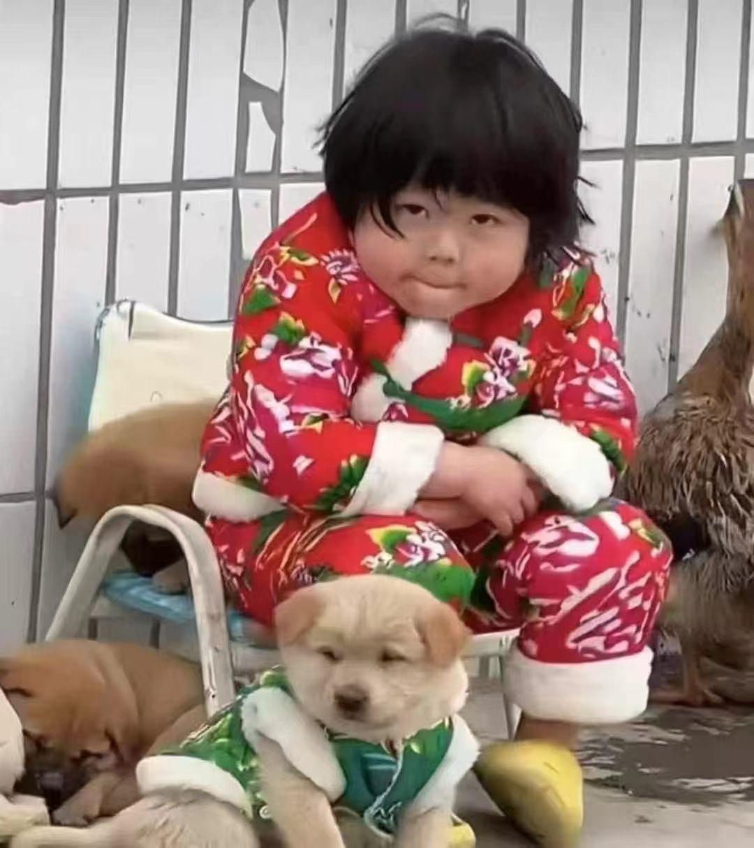 妍熙努力的图片