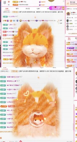 菲儿🌻加油主播照片