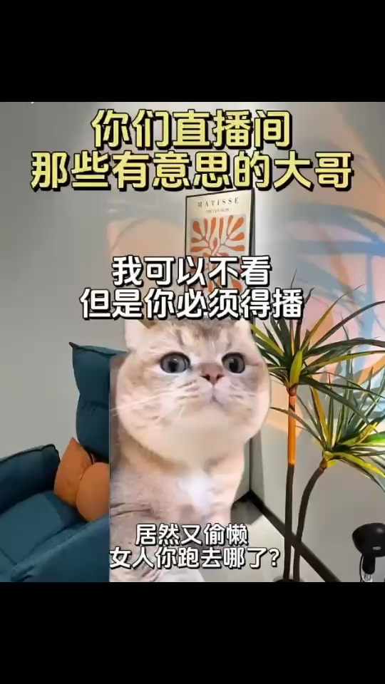 太搞笑了。哈哈哈哈/