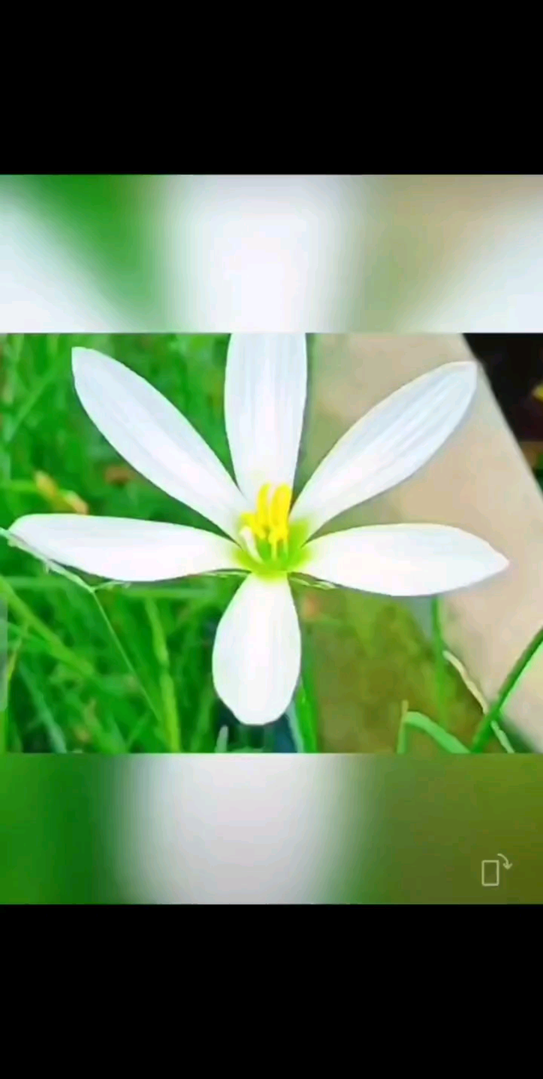 喜欢一个人你们是这样