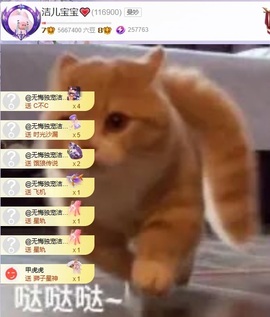 洁儿宝宝~主播照片