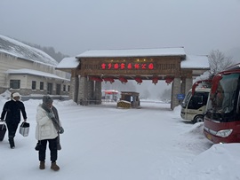 杰克封号中的图片