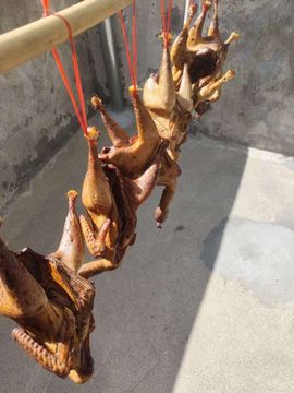小谢农村田园生活的图片