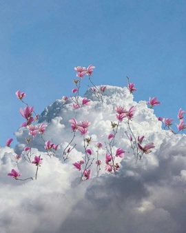 泡芙等光来主播照片