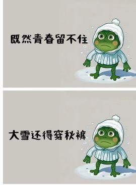 丑小鸭☯求一束光主播照片