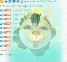 7静待花开主播照片