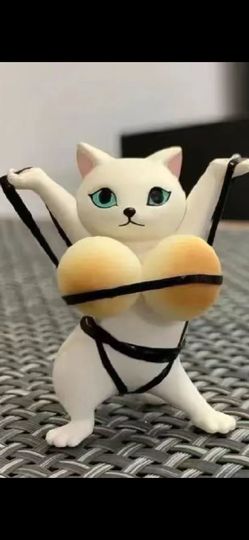 丑小鸭☯求一束光主播照片
