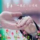 70abdflwz*