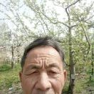 王在学;果园一一天然