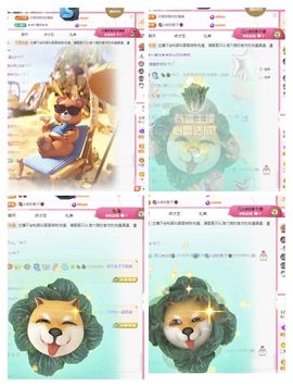 菲儿🌻加油主播照片