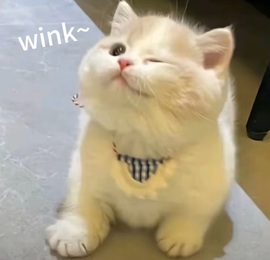 一心爱唱歌🌟主播照片