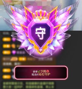 海鸽晚上见主播照片