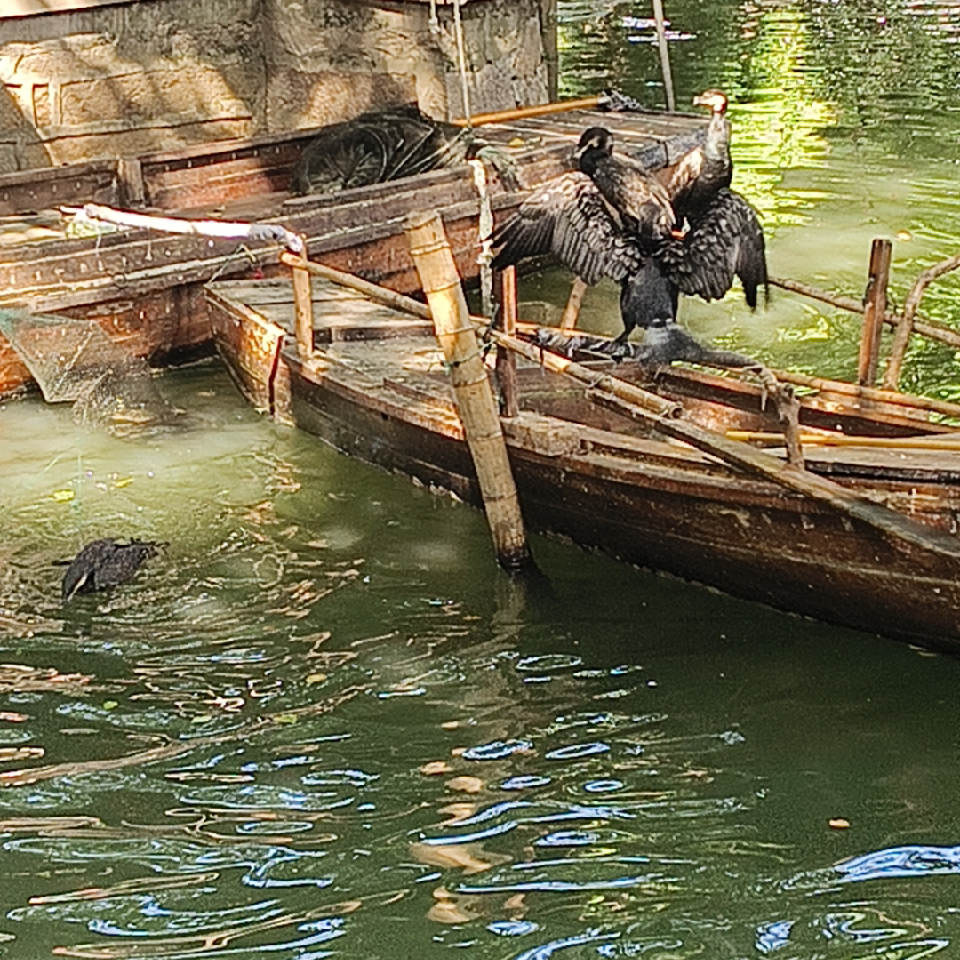 九爷霸道海报