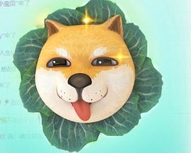 夏至🌸的图片