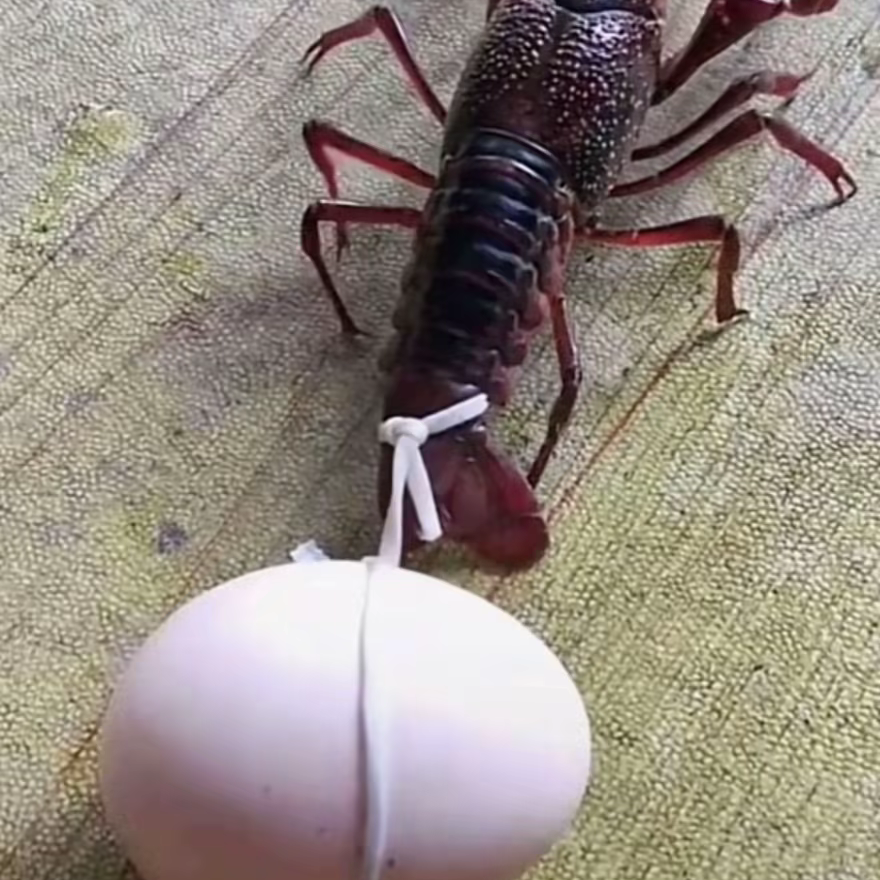 昵称违规，请重新修改海报