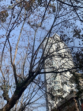 小缇娜主播照片