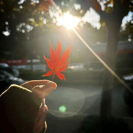 小童贺m哥公爵🤴主播照片