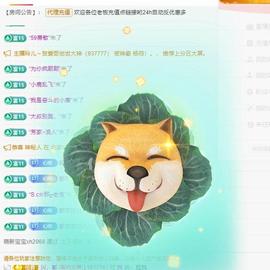 代理心雨有事休一天主播照片