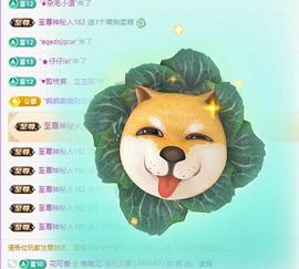 代理心雨有事休一天主播照片