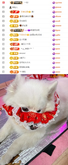 陈慧慧🥕早9晚8主播照片