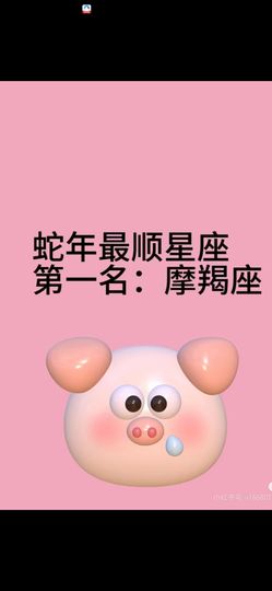 丑小鸭🌈万人迷肉球主播照片