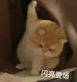 洁儿宝宝💗~主播照片