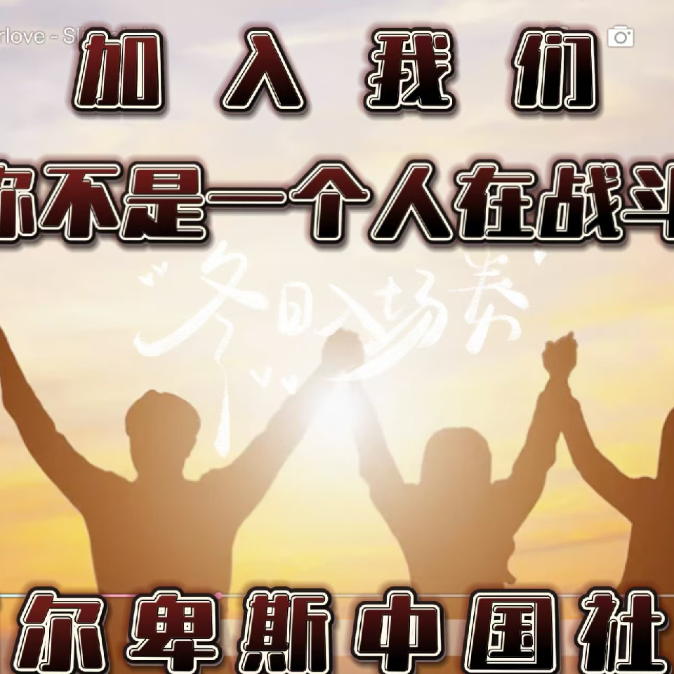 AAA张百万海报