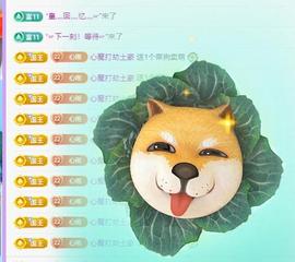 代理心雨有事休一天主播照片