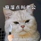 小天you海报