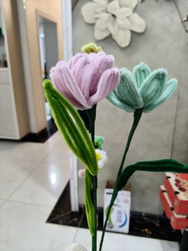 🍀❤️冰雪🍀加油主播照片