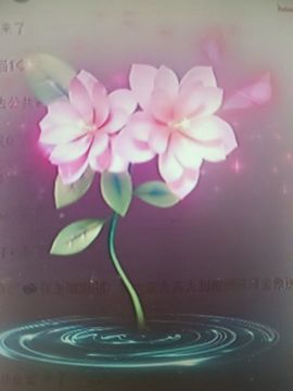 晴儿21的图片