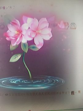 晴儿21的图片