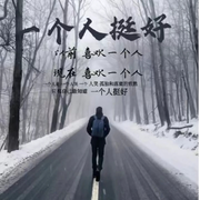 ❄️冷雪孤影❄️
