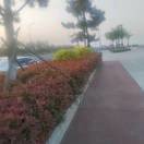 4adlmqrsw*