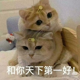 Wuli奶茶主播照片