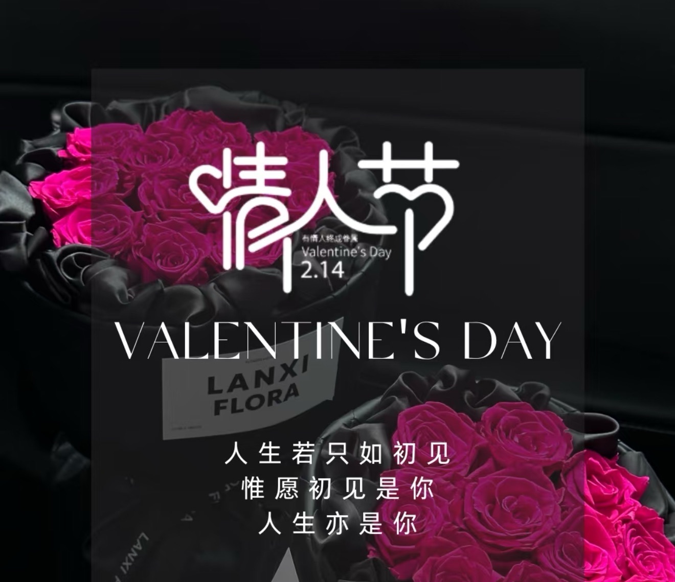 跑调嘉💟回家咯~主播图片