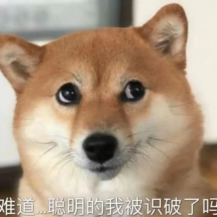 小若沫海报