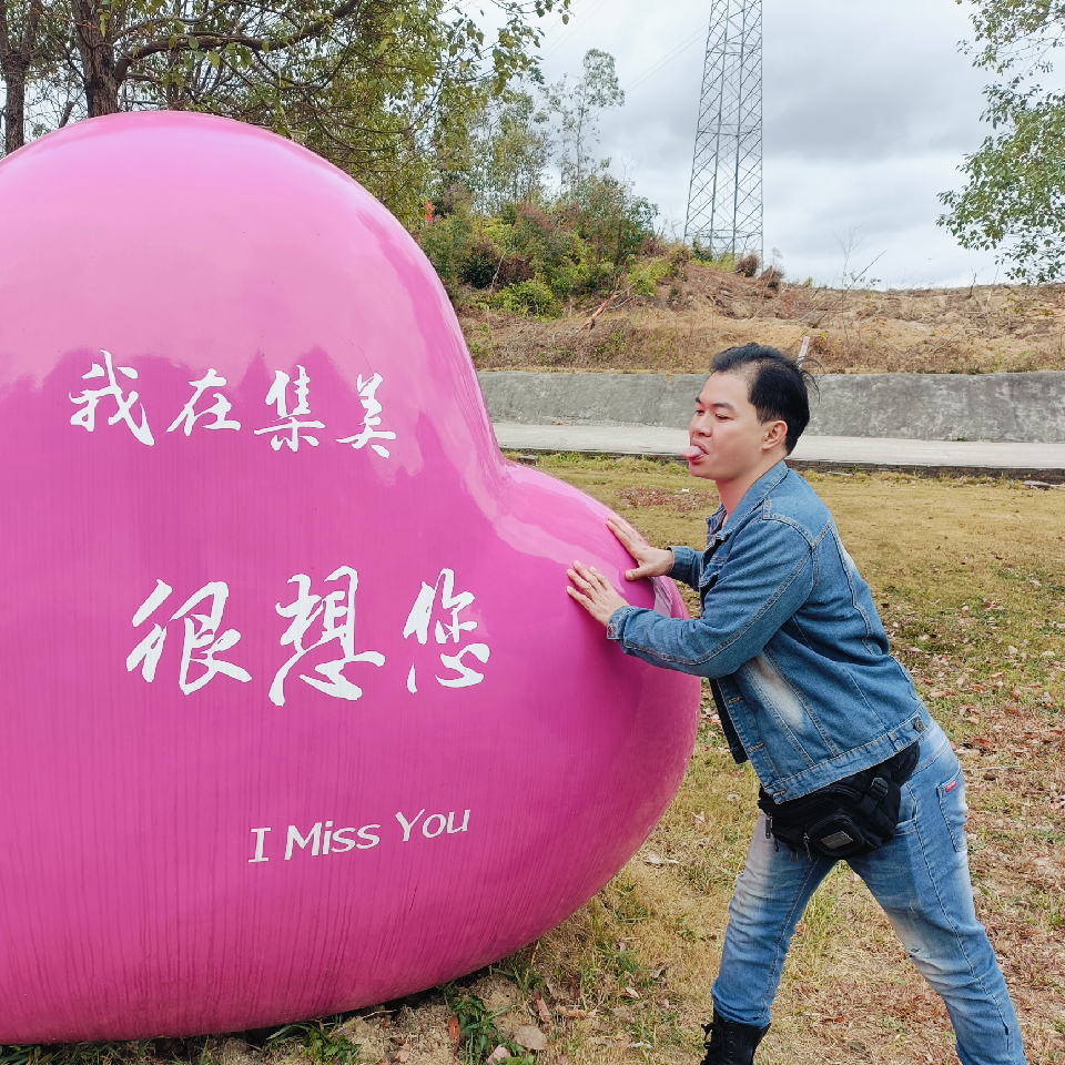 九龙哥哥吖海报