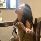 🥑牛油果海报