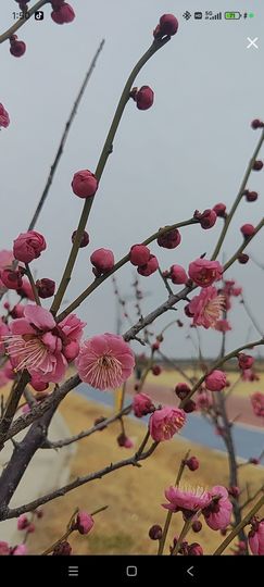 婷婷💕感恩有你陪伴主播照片