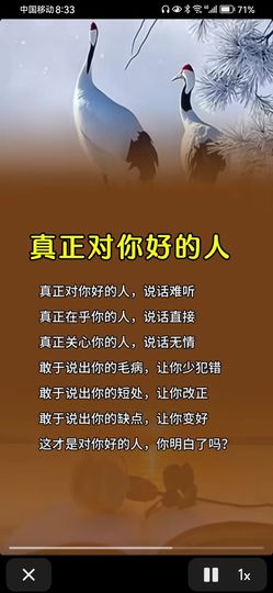 丑小鸭🌈万人迷眼睛主播照片