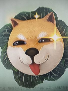 晴儿21的图片