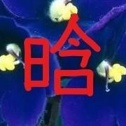 大江⭕乾福