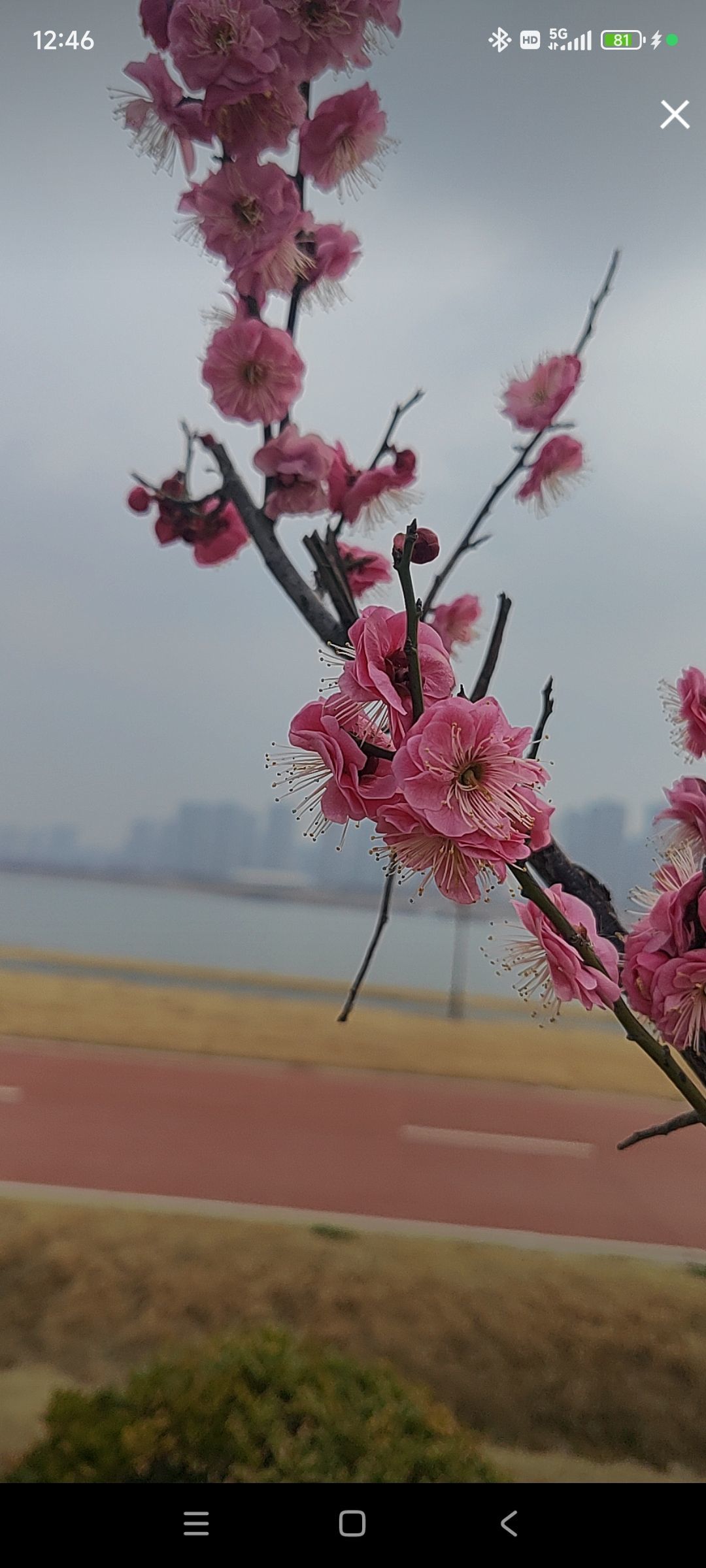 婷婷💕感恩有你陪伴的图片