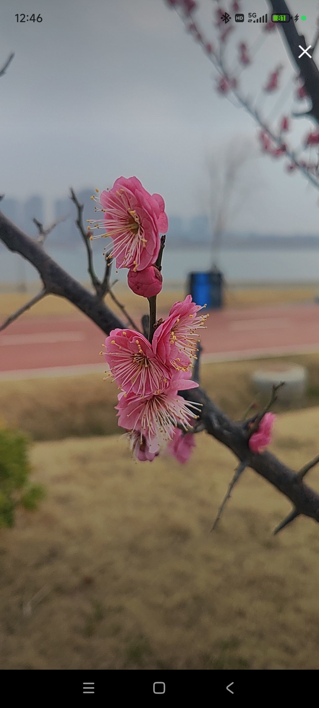 婷婷💕求过月底任务主播图片